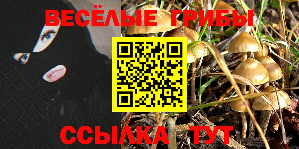 Еманжелинск  Галлюциногенные грибы Cubensis  Галлюциногенные грибы MAGIC MUSHROOMS  Вход с VPN 