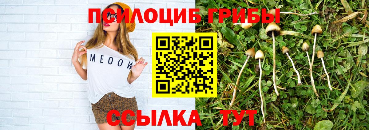 Псилоцибиновые грибы Magic Shrooms Еманжелинск